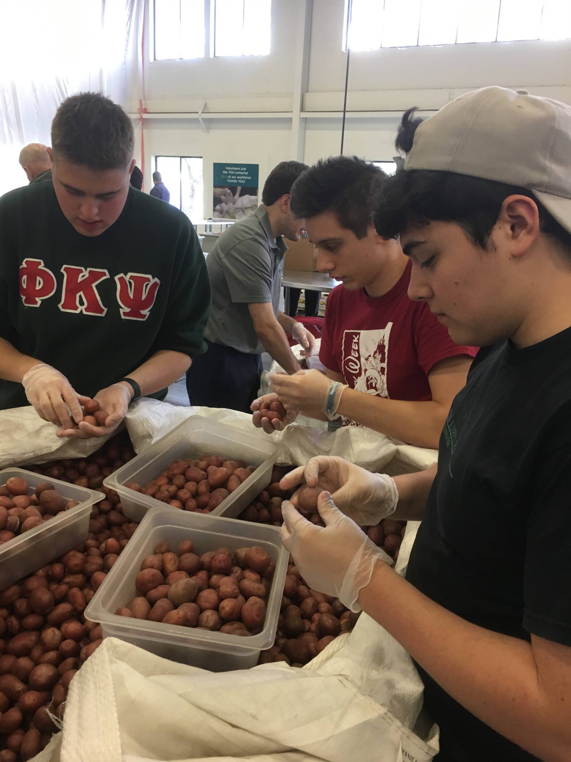 SecondHarvest4 Phi Psi members volunteering
